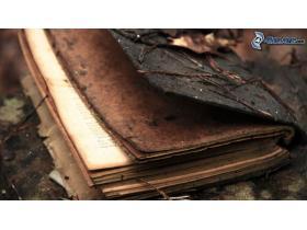 Image al&eacute;atoire : photos_web/photos_aleatoires/miniatures//livres-anciens-brindille-257906.jpg